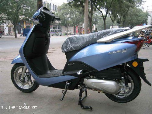 五羊本田110佳御太猛了吧~!!!!!