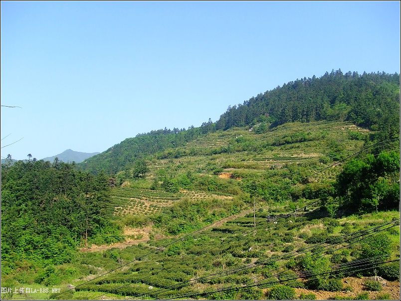 [原创]天堂℃印象