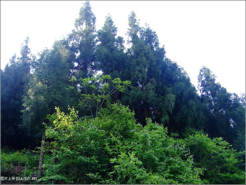 [原创]天堂℃印象