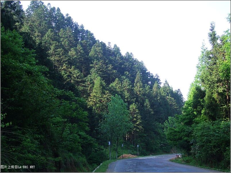 [原创]天堂℃印象