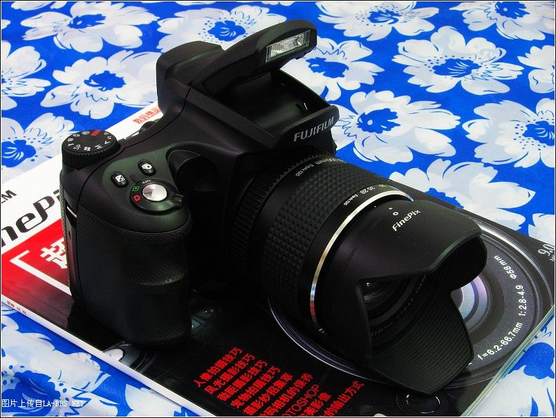 [原创]我终于还是选择了你