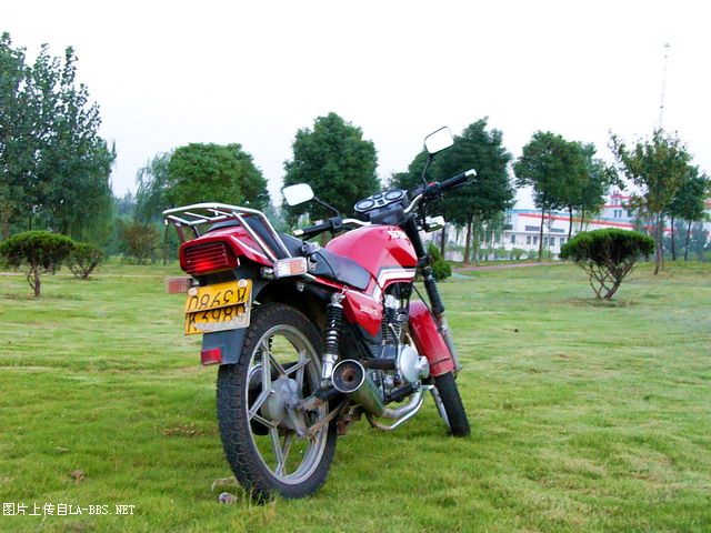 [原创]陪我行走了5万多公里的爱驹