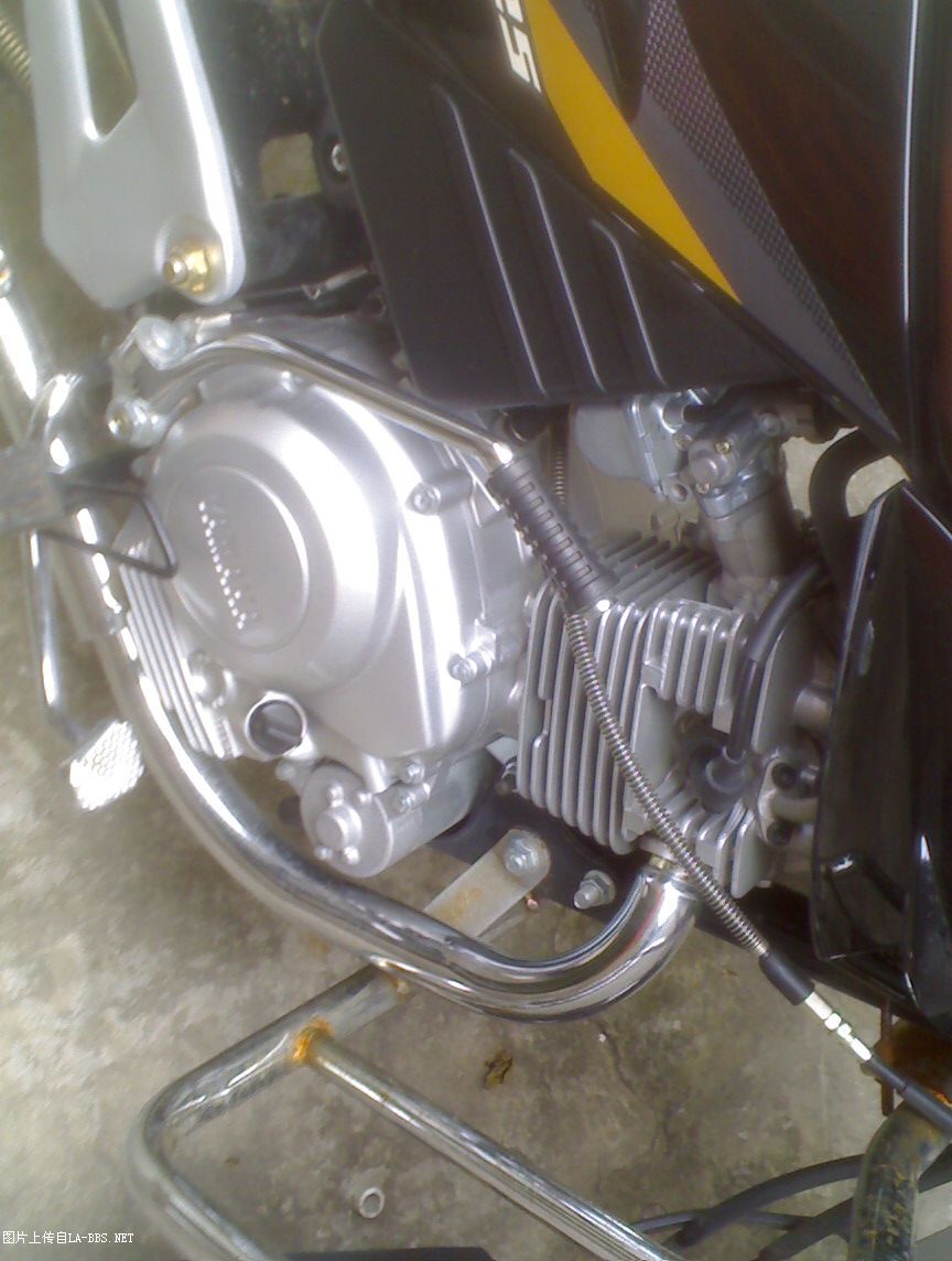 上班没事做，把坐骑拍下 请明月指点