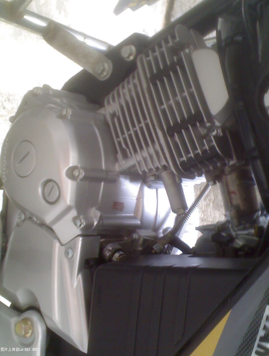 上班没事做，把坐骑拍下 请明月指点