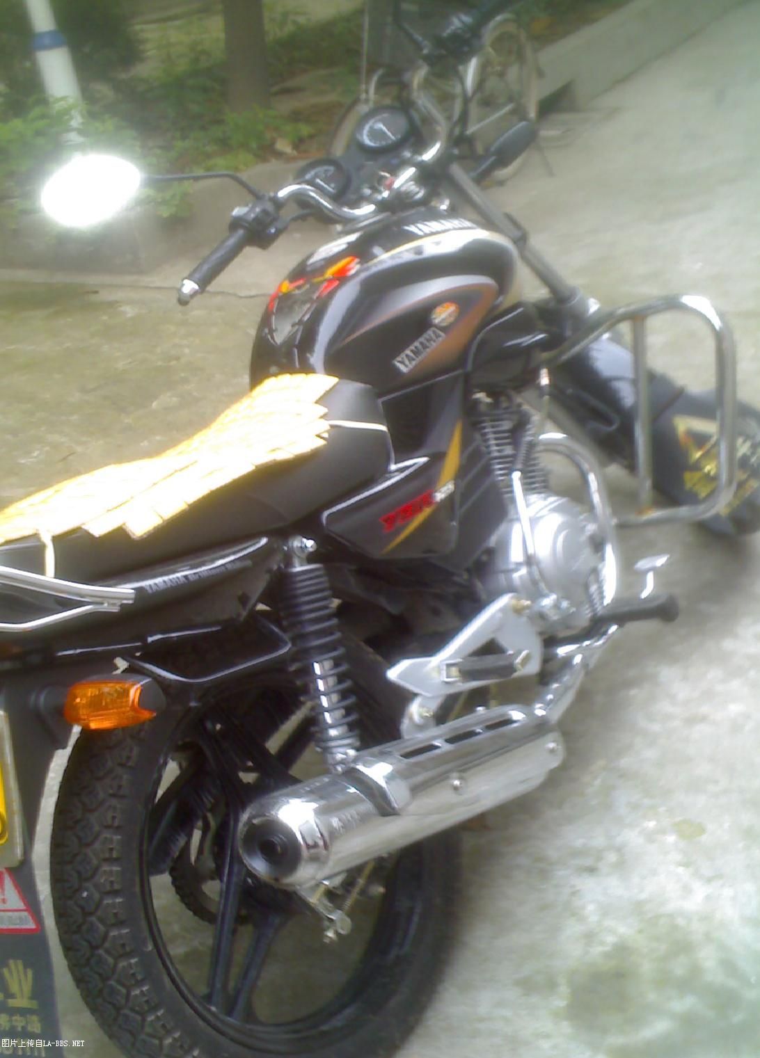 上班没事做，把坐骑拍下 请明月指点