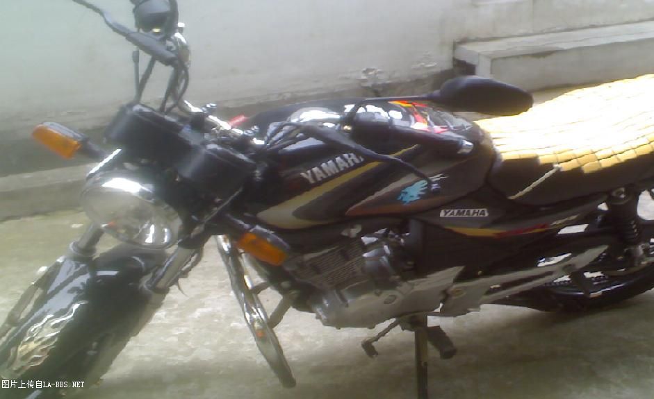 上班没事做，把坐骑拍下 请明月指点