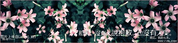 一夜情记实图片,多图