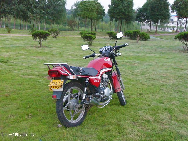 [原创]陪我行走了5万多公里的爱驹