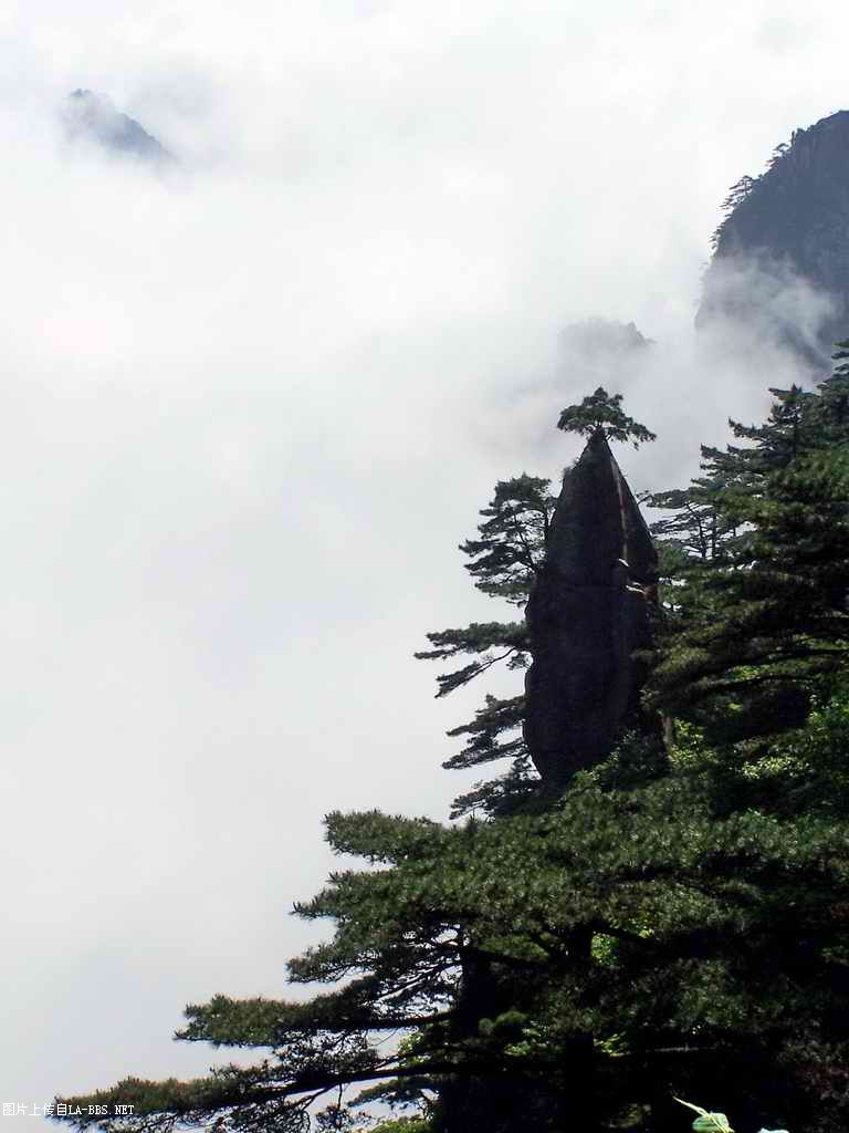 6.1的小小为是黄山坐爱记