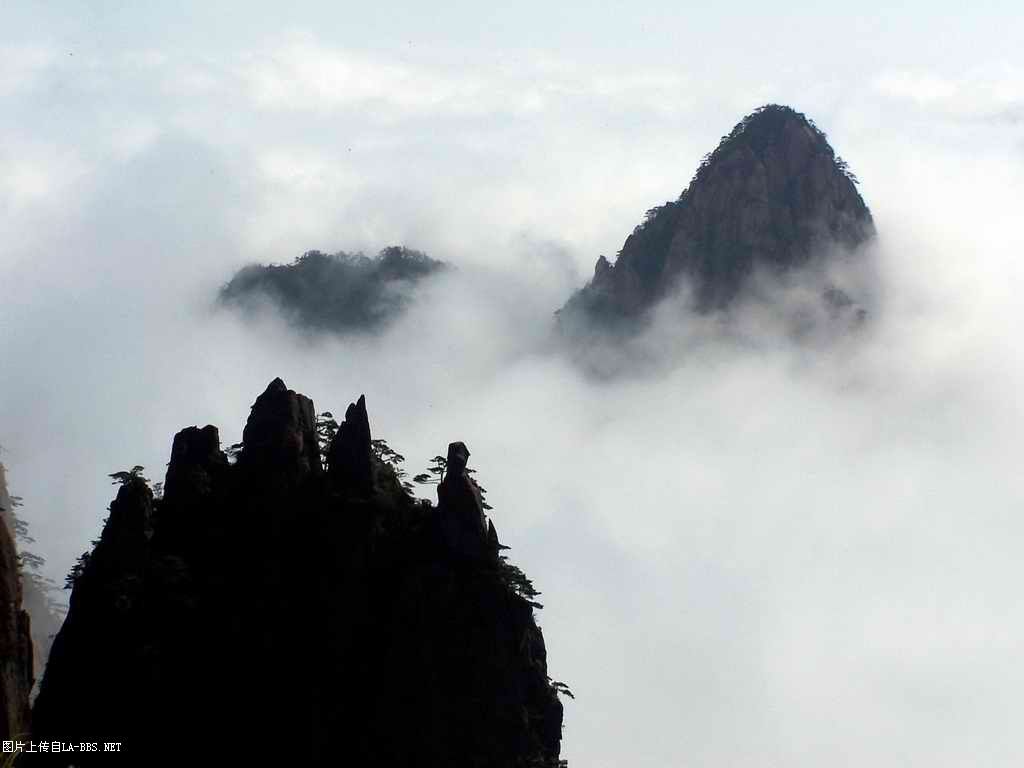 6.1的小小为是黄山坐爱记