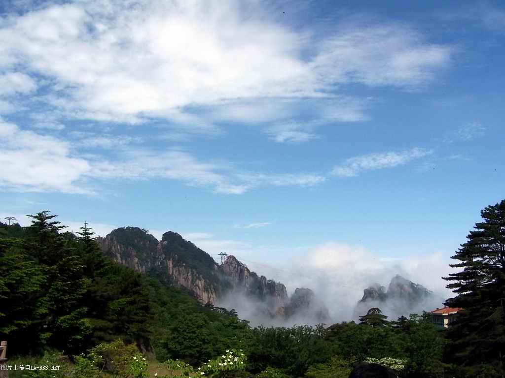 6.1的小小为是黄山坐爱记