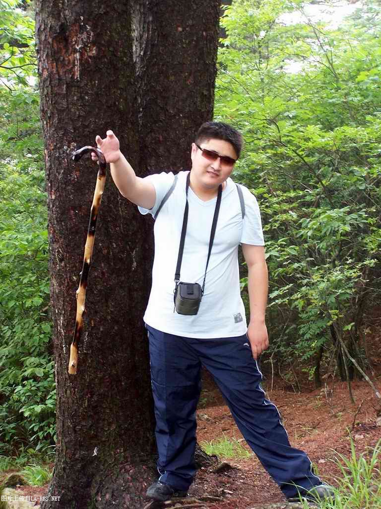 6.1的小小为是黄山坐爱记