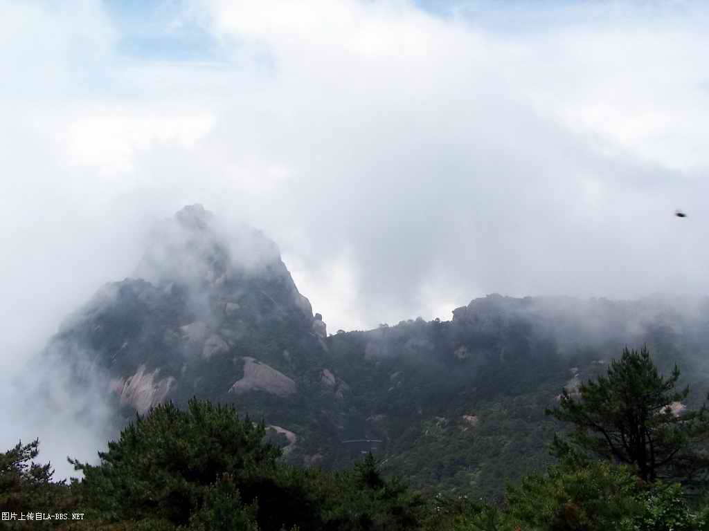 6.1的小小为是黄山坐爱记