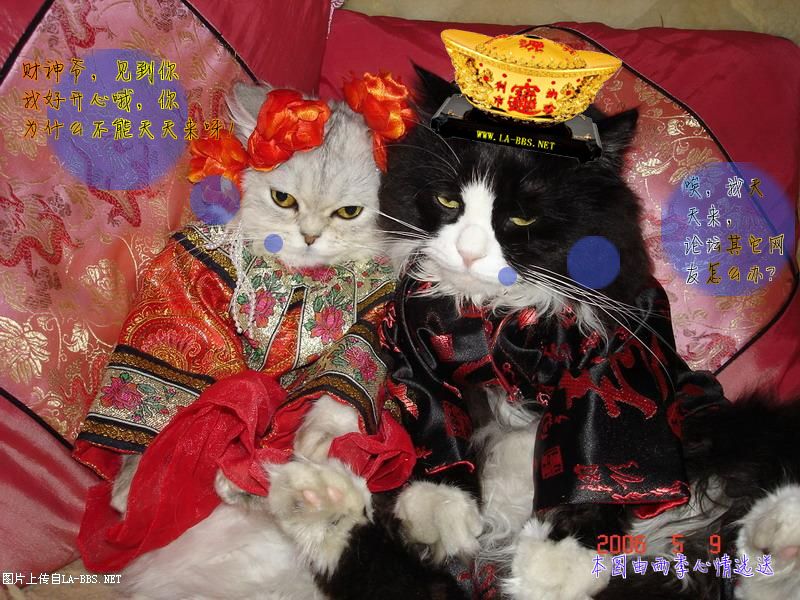 [财神活动专帖]六安论坛原创PS恶搞大赛第一弹