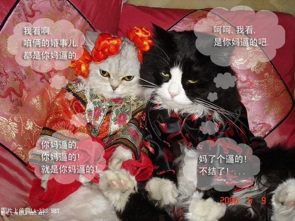 [财神活动专帖]六安论坛原创PS恶搞大赛第一弹