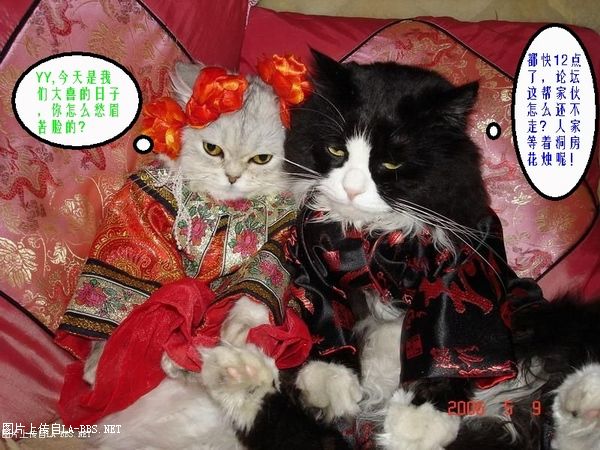 [财神活动专帖]六安论坛原创PS恶搞大赛第一弹