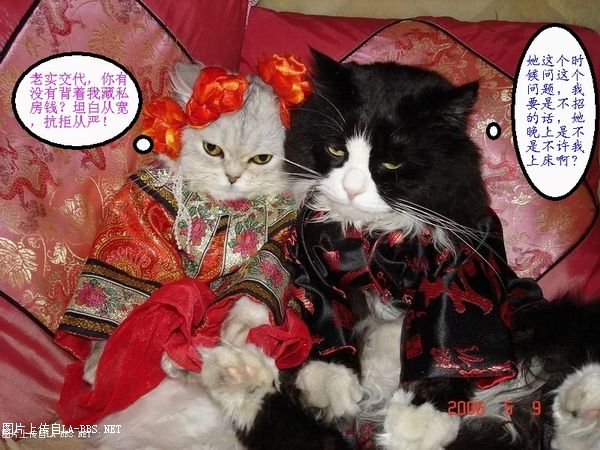 [财神活动专帖]六安论坛原创PS恶搞大赛第一弹