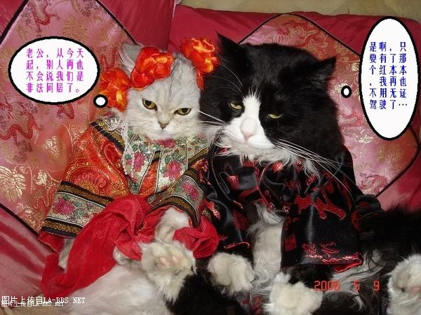 [财神活动专帖]六安论坛原创PS恶搞大赛第一弹