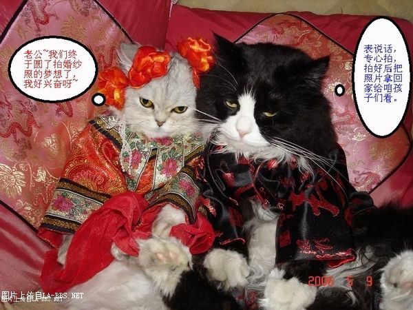 [财神活动专帖]六安论坛原创PS恶搞大赛第一弹