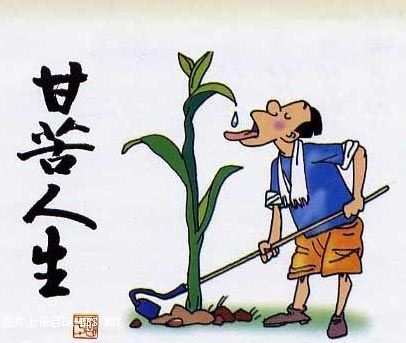 [公告]男人一生最重要的7张图片(恐龙勿进)