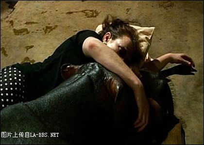 河马爱上家居生活了