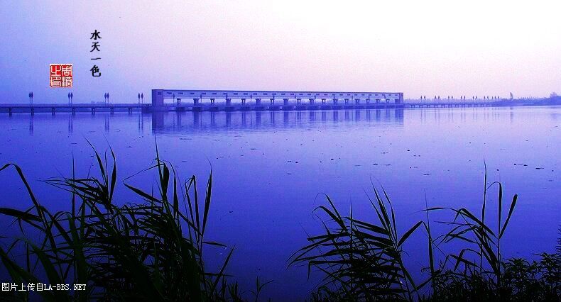 远眺青云湖湿地
