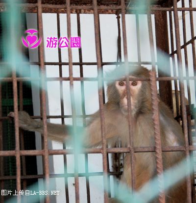[原创]游人民公园-动物世界