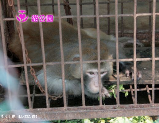 [原创]游人民公园-动物世界