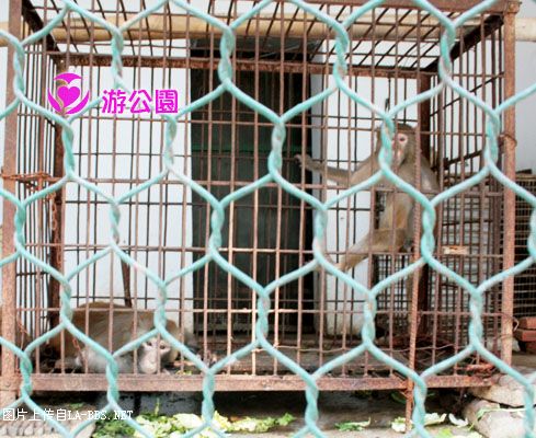 [原创]游人民公园-动物世界