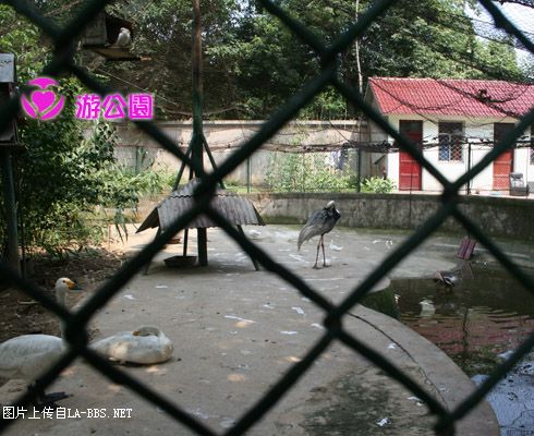 [原创]游人民公园-动物世界