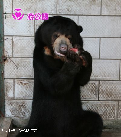 [原创]游人民公园-动物世界