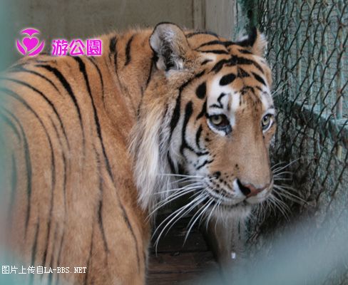 [原创]游人民公园-动物世界