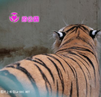 [原创]游人民公园-动物世界
