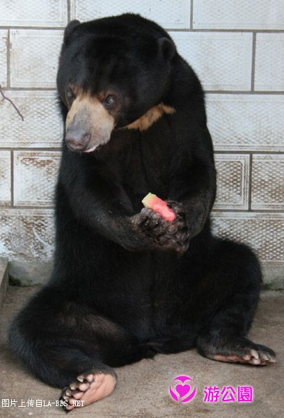 [原创]游人民公园-动物世界