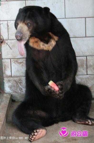 [原创]游人民公园-动物世界