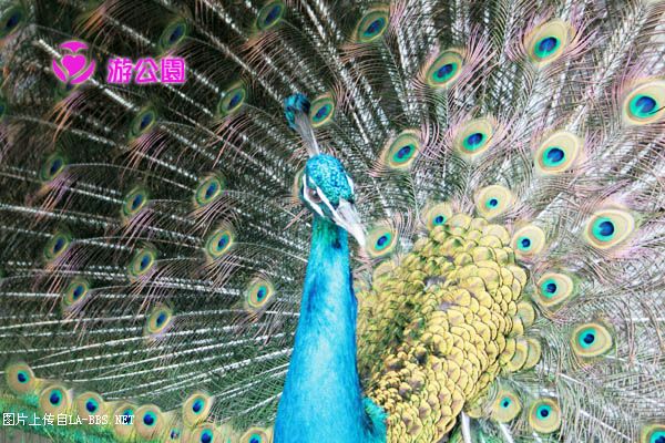 [原创]游人民公园-动物世界