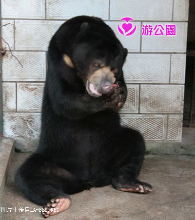 [原创]游人民公园-动物世界