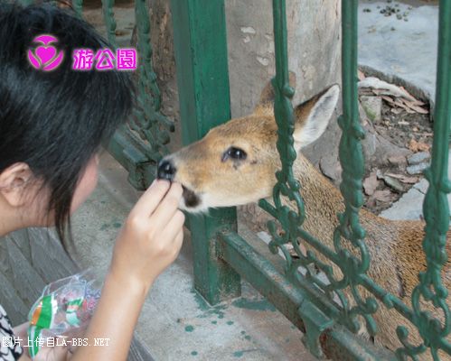 [原创]游人民公园-动物世界