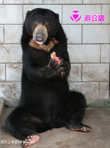 [原创]游人民公园-动物世界