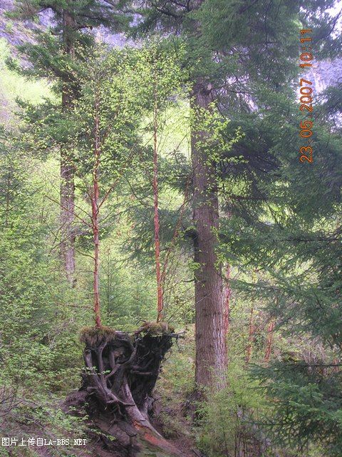 人间仙境九寨沟