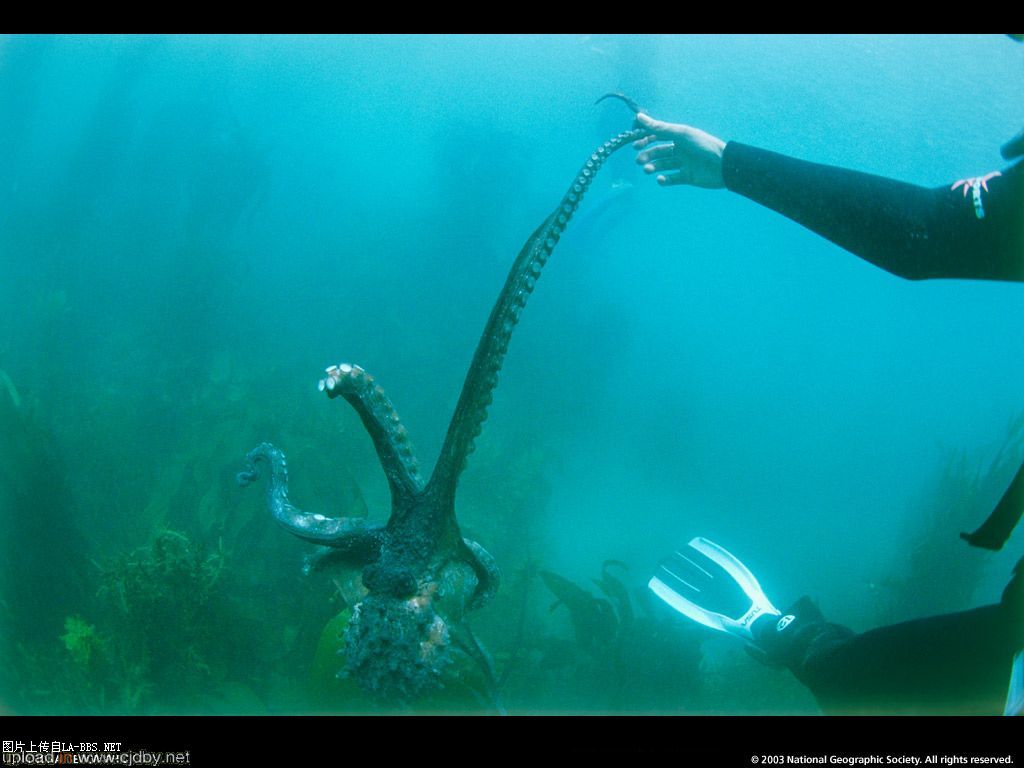 国家地理美图（不断更新中）