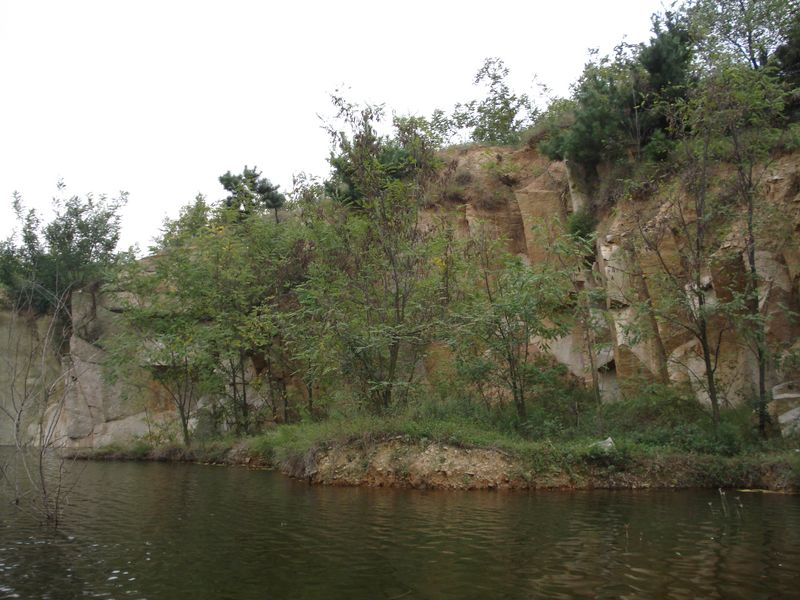 DSC00483 [800x600].JPG