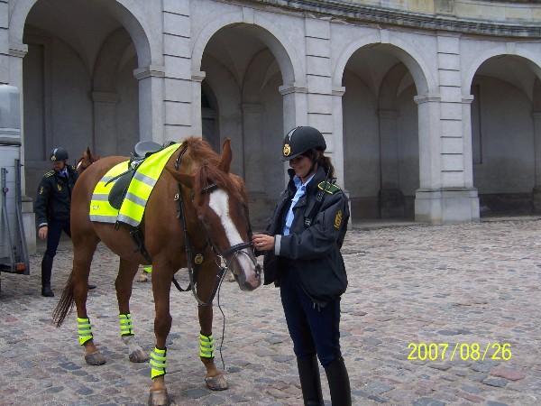 丹麦女骑警