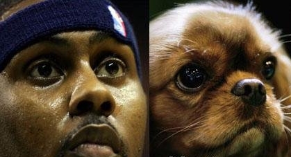 骑士队的拉里·休斯