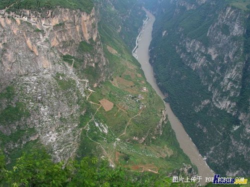 白色的曲线就是上山的路。