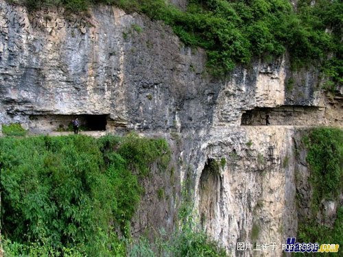 连峰去天不盈尺，枯松倒挂倚绝壁。