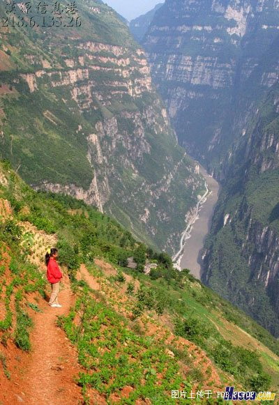 小姑娘，你站后一点，看着害怕。坡上的庄稼，谁去种的，那么大胆！