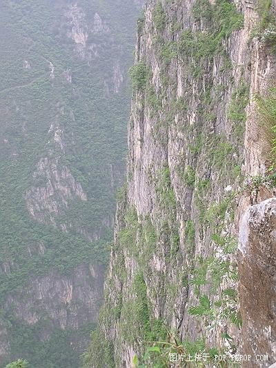 在这样的山上。