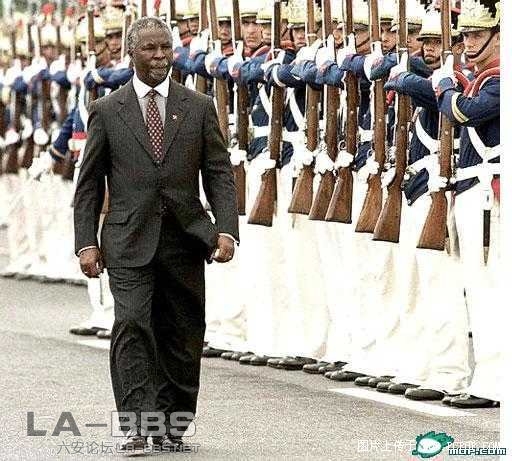 巴西 （那队伍站的和波浪的形状差不多，失败）