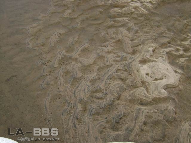 调整大小 DSC01233.JPG